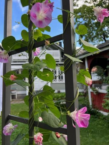 Asuntohotelli Kaivo Naantali Kültér fotó